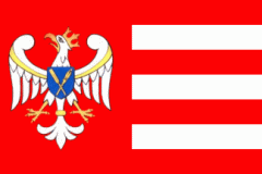 Gniezno Flaga