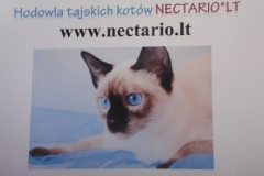 SAM_0090