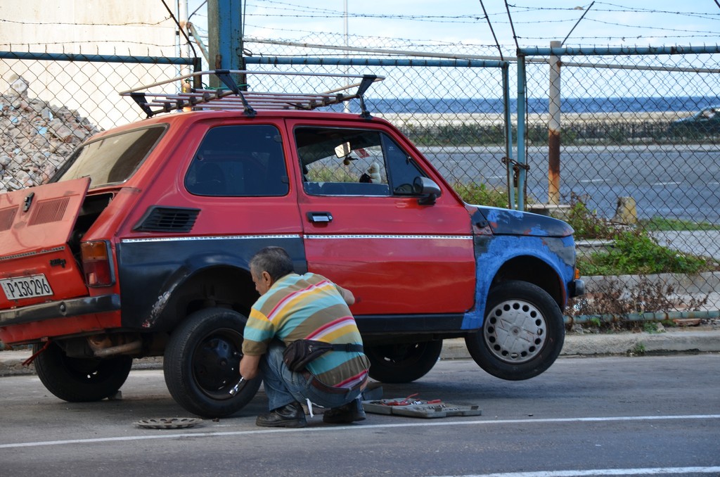 DSC_1907