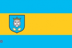 03