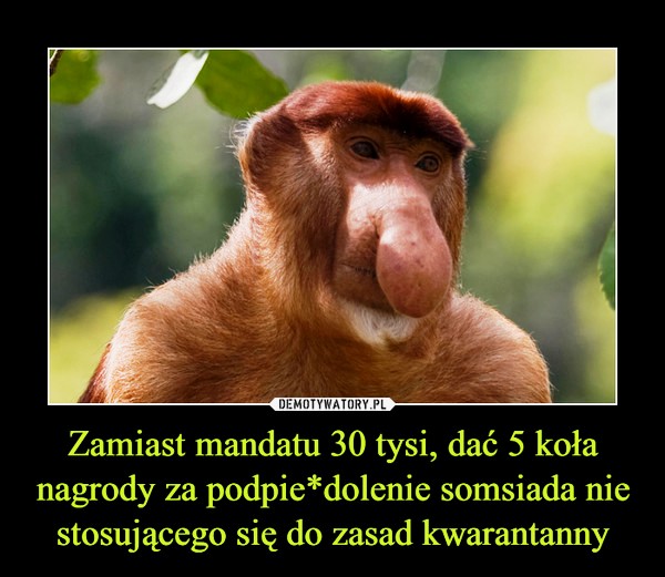 1585068414_vczhu8_600