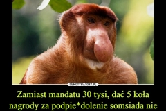 1585068414_vczhu8_600