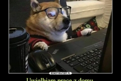 1585157179_9nezsd_600