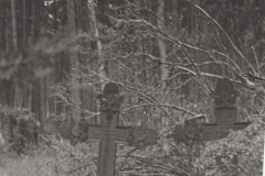 Wspomnienia z rajdu pieszego nad morzem Bałtyckim