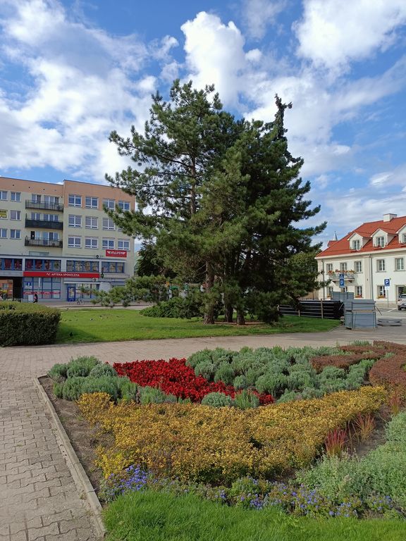 Spacer po czetrum Włocławka -020