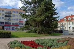 Spacer po czetrum Włocławka -020